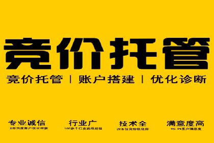 SEM外包服务应用案例分析